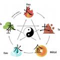 Wuxing 5 elements medecine chinoise